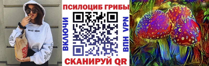 Псилоцибиновые грибы Psilocybe  hydra онион  нарко площадка наркотические препараты  Боровичи 