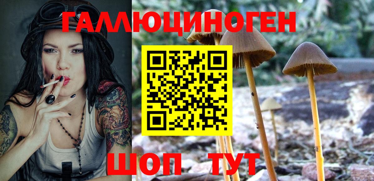 Галлюциногенные грибы мицелий Боровичи
